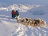 3.12.08 | Dogsled trip to Sermeq Avanardleq, Greenland, March 12, 2008